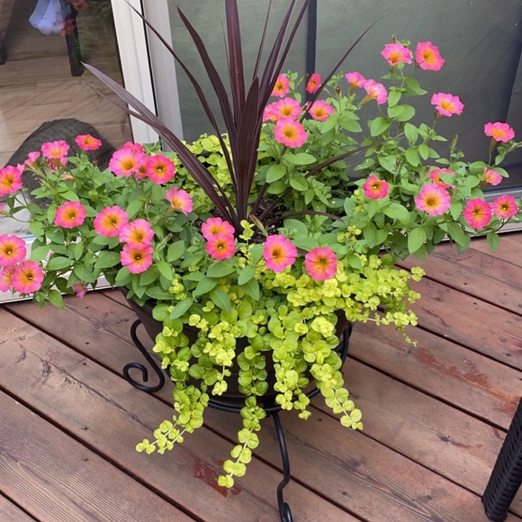 BUNDLE & Save 15%!! - Picture 3 of 4